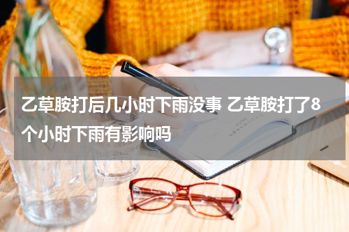 乙草胺打后几小时下雨没事 乙草胺打了8个小时下雨有影响吗