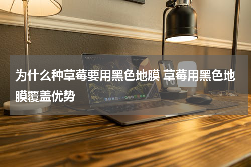 为什么种草莓要用黑色地膜 草莓用黑色地膜覆盖优势