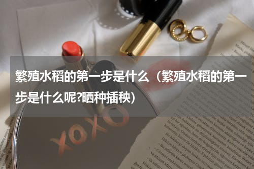 繁殖水稻的第一步是什么（繁殖水稻的第一步是什么呢?晒种插秧）
