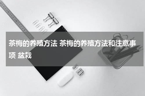 茶梅的养殖方法 茶梅的养殖方法和注意事项 盆栽