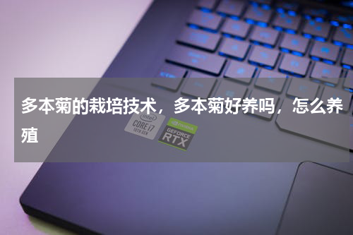 多本菊的栽培技术，多本菊好养吗，怎么养殖