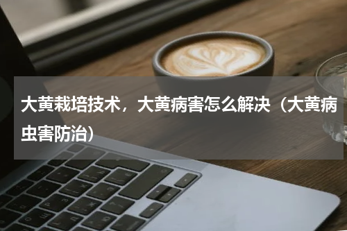 大黄栽培技术，大黄病害怎么解决（大黄病虫害防治）