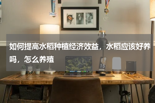 如何提高水稻种植经济效益，水稻应该好养吗，怎么养殖