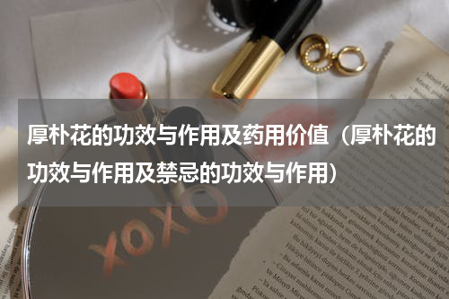 厚朴花的功效与作用及药用价值（厚朴花的功效与作用及禁忌的功效与作用）