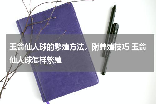 玉翁仙人球的繁殖方法，附养殖技巧 玉翁仙人球怎样繁殖