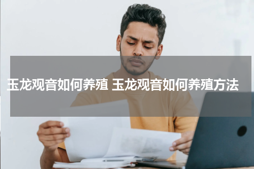玉龙观音如何养殖 玉龙观音如何养殖方法