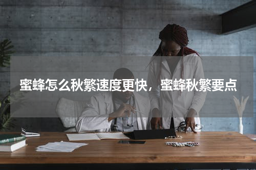 蜜蜂怎么秋繁速度更快，蜜蜂秋繁要点