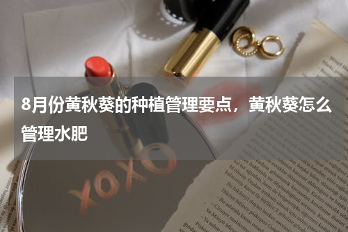 8月份黄秋葵的种植管理要点，黄秋葵怎么管理水肥
