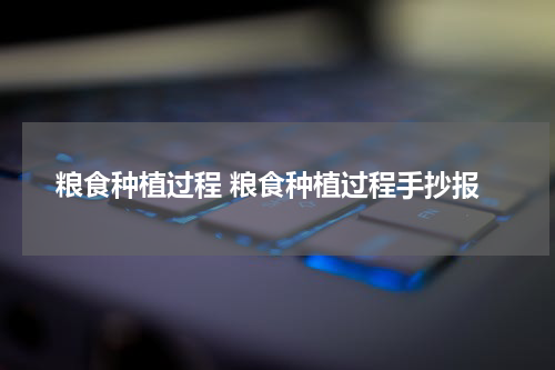 粮食种植过程 粮食种植过程手抄报