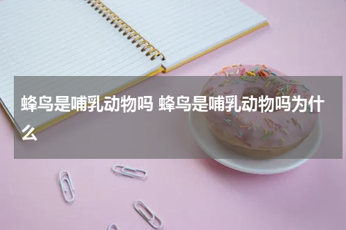 蜂鸟是哺乳动物吗 蜂鸟是哺乳动物吗为什么