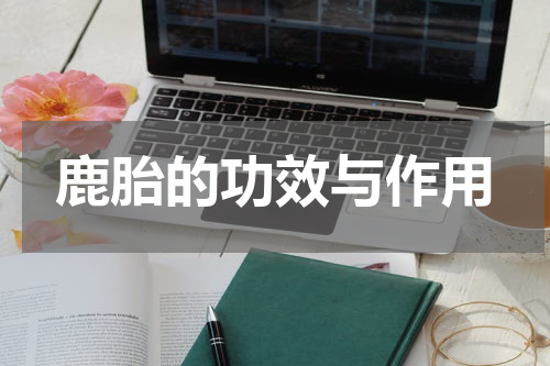 鹿胎的功效与作用