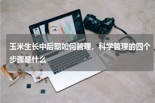 玉米生长中后期如何管理，科学管理的四个步骤是什么