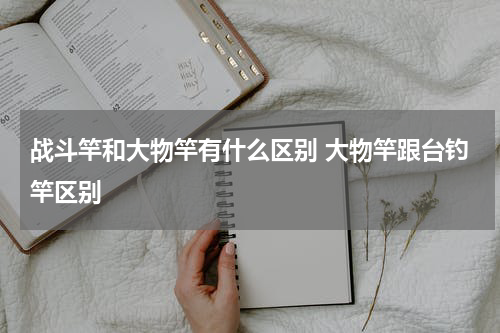 战斗竿和大物竿有什么区别 大物竿跟台钓竿区别