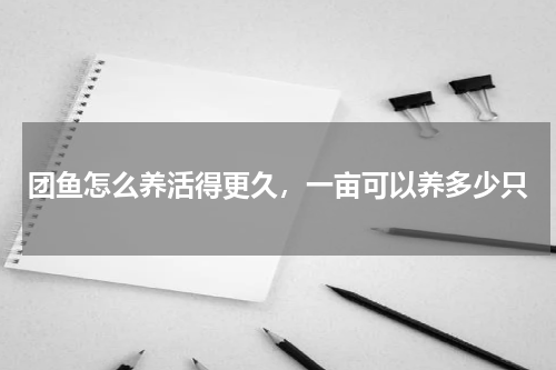 团鱼怎么养活得更久，一亩可以养多少只