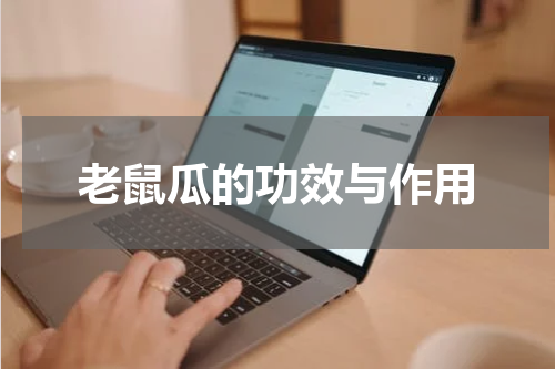 老鼠瓜的功效与作用