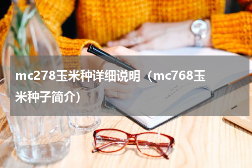 mc278玉米种详细说明（mc768玉米种子简介）