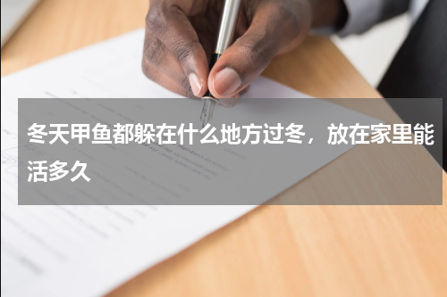 冬天甲鱼都躲在什么地方过冬，放在家里能活多久