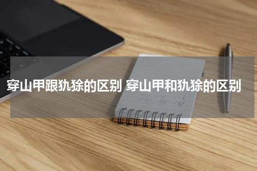 穿山甲跟犰狳的区别 穿山甲和犰狳的区别