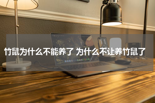 竹鼠为什么不能养了 为什么不让养竹鼠了