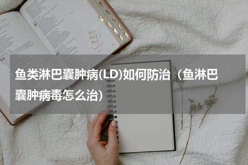 鱼类淋巴囊肿病(LD)如何防治（鱼淋巴囊肿病毒怎么治）
