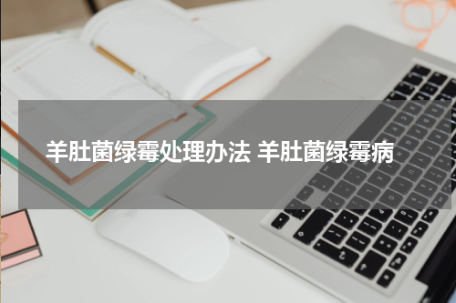 羊肚菌绿霉处理办法 羊肚菌绿霉病