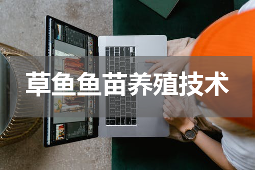 草鱼鱼苗养殖技术