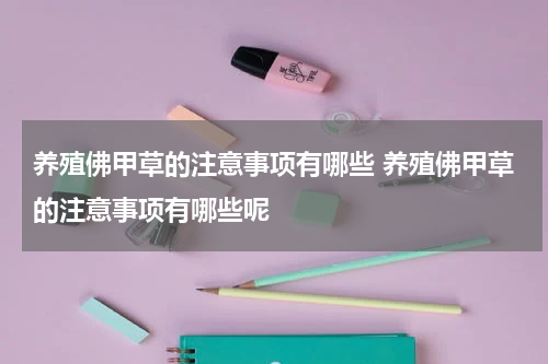 养殖佛甲草的注意事项有哪些 养殖佛甲草的注意事项有哪些呢