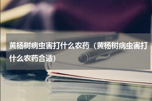黄杨树病虫害打什么农药（黄杨树病虫害打什么农药合适）