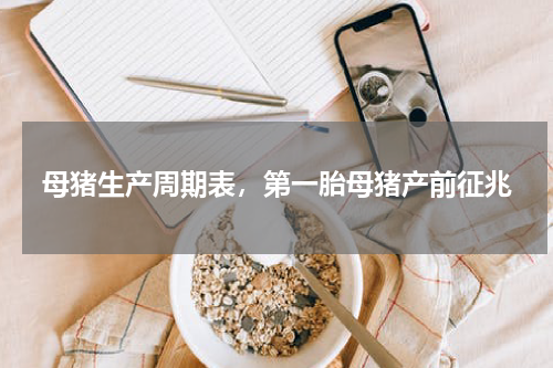 母猪生产周期表，第一胎母猪产前征兆