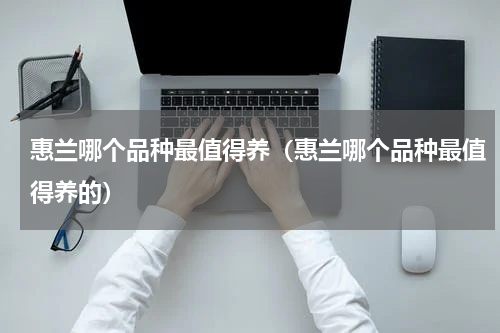 惠兰哪个品种最值得养（惠兰哪个品种最值得养的）