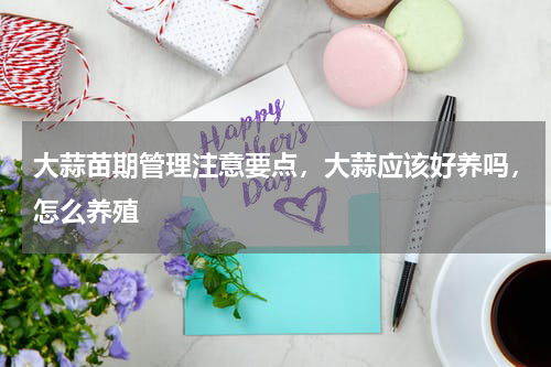 大蒜苗期管理注意要点，大蒜应该好养吗，怎么养殖
