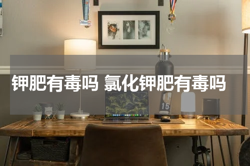 钾肥有毒吗 氯化钾肥有毒吗