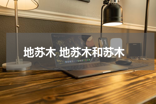 地苏木 地苏木和苏木