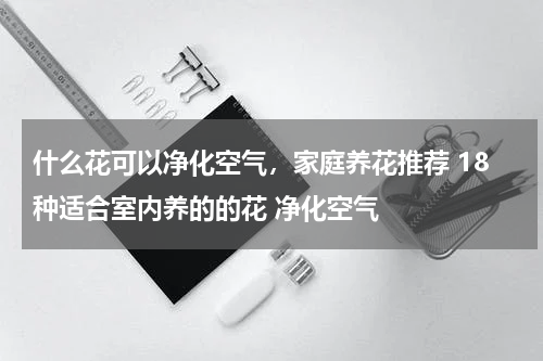 什么花可以净化空气，家庭养花推荐 18种适合室内养的的花 净化空气
