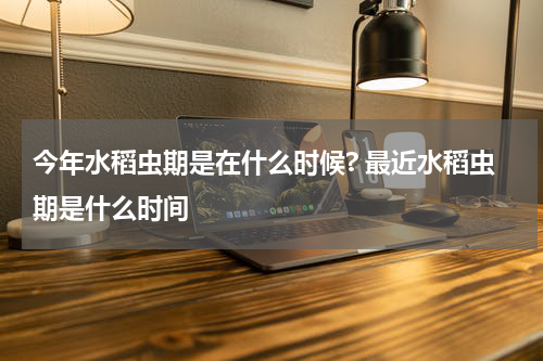 今年水稻虫期是在什么时候? 最近水稻虫期是什么时间