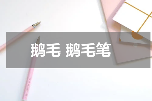 鹅毛 鹅毛笔
