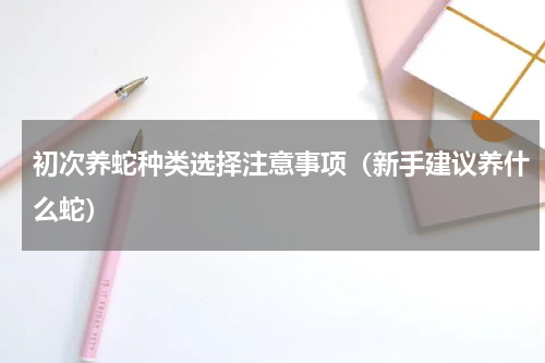 初次养蛇种类选择注意事项（新手建议养什么蛇）