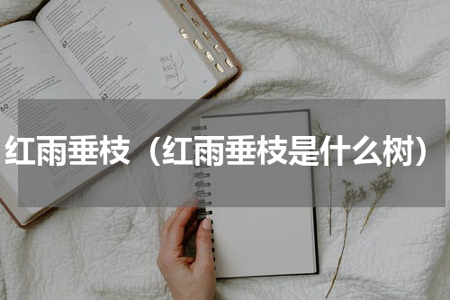 红雨垂枝（红雨垂枝是什么树）