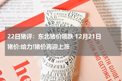 22日猪评：东北猪价领跌 12月21日猪价:给力!猪价再迎上涨