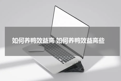 如何养鸭效益高 如何养鸭效益高些