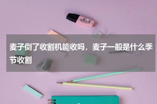 麦子倒了收割机能收吗，麦子一般是什么季节收割
