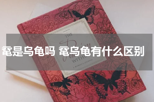 鼋是乌龟吗 鼋乌龟有什么区别