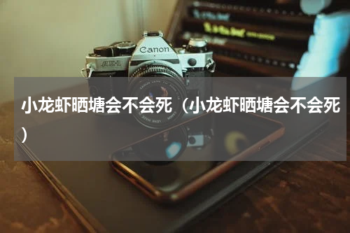 小龙虾晒塘会不会死（小龙虾晒塘会不会死）