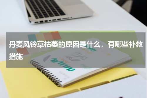 丹麦风铃草枯萎的原因是什么，有哪些补救措施