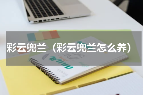 彩云兜兰（彩云兜兰怎么养）