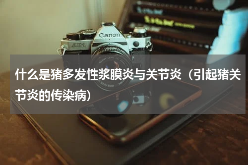 什么是猪多发性浆膜炎与关节炎（引起猪关节炎的传染病）