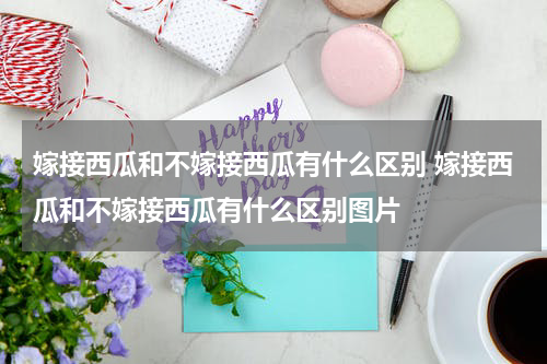 嫁接西瓜和不嫁接西瓜有什么区别 嫁接西瓜和不嫁接西瓜有什么区别图片
