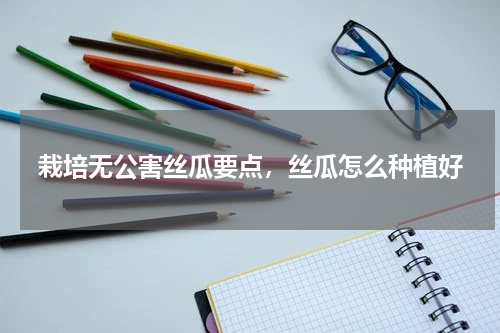 栽培无公害丝瓜要点，丝瓜怎么种植好