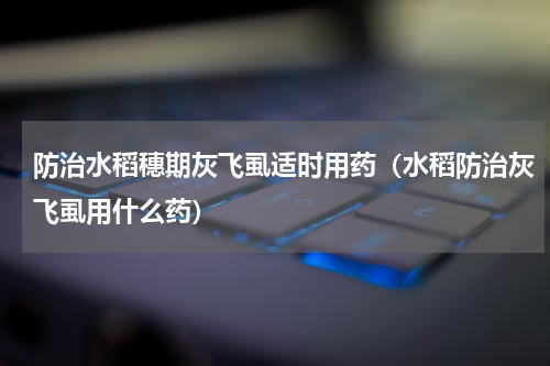 防治水稻穗期灰飞虱适时用药（水稻防治灰飞虱用什么药）