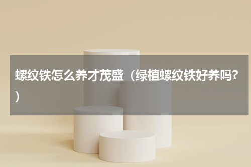 螺纹铁怎么养才茂盛（绿植螺纹铁好养吗?）